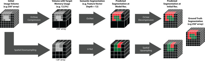 Study schematic. Image volumes were compressed by using either the octree approach or conventional downsampling. Each volume was then used to train a semantic segmentation convolutional neural network. In addition to losing boundary information in the image during downsampling, spatial downsampling leads to postsegmentation upsampling, which can lead to errors in segmentation. The octree representation can avoid these limitations using an intensity tolerance, τ. Res. = resolution.