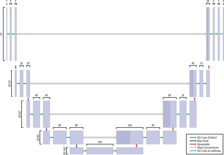 Three-dimensional (3D) convolutional neural network (CNN) architecture. As outlined in Table 1, we evaluated different combinations of input 3D volume (variable D) and feature vector depths (variable F). Although this led to differences in the resulting network, other features of architecture, such as convolutions (Conv), max pooling, and upsampling steps, were kept constant. ReLU = rectified linear unit.