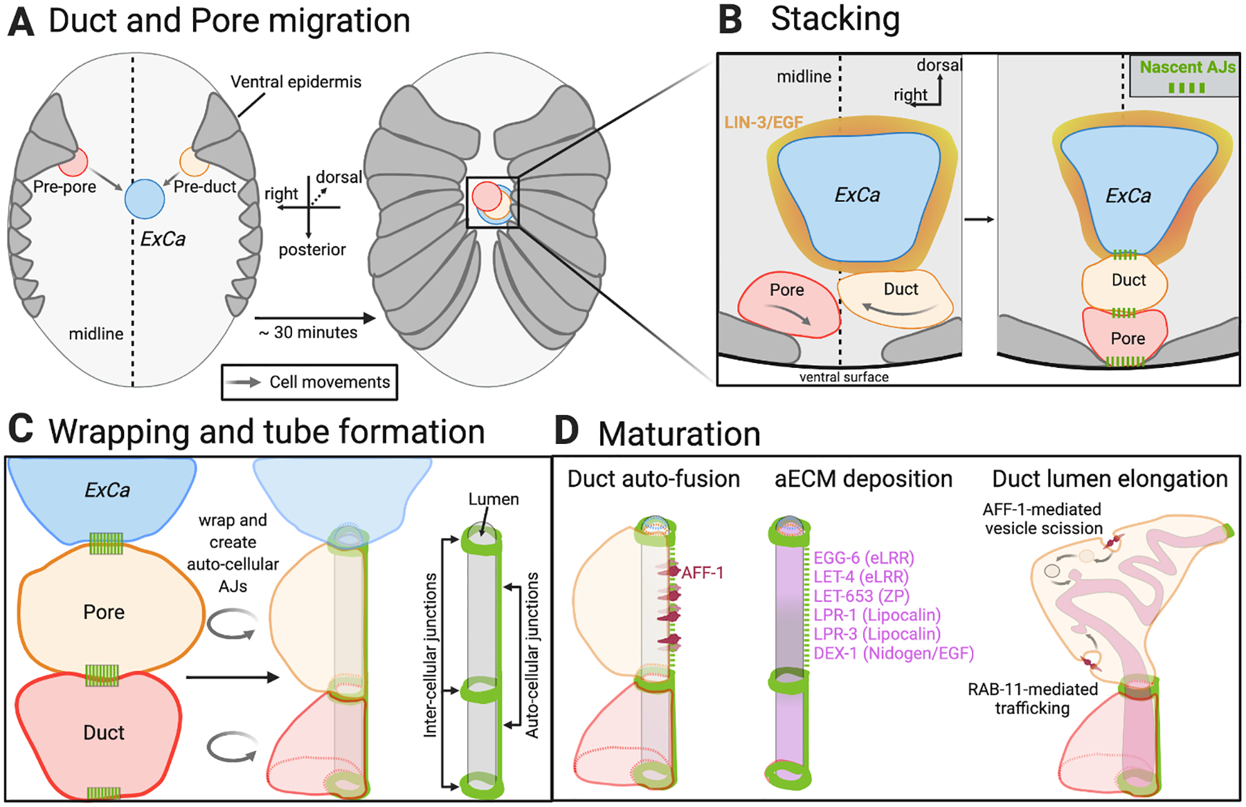 Fig. 4: