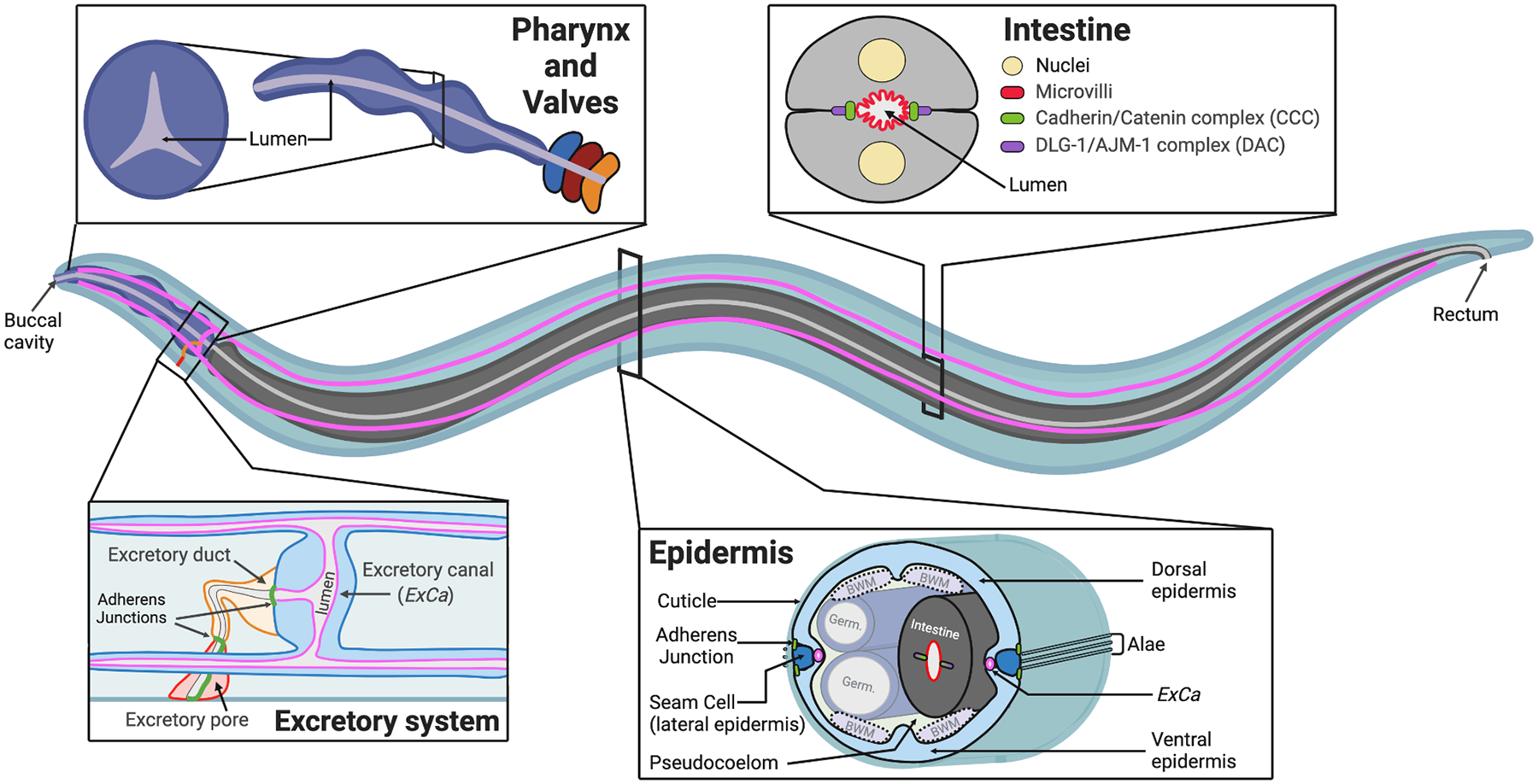 Figure 1.