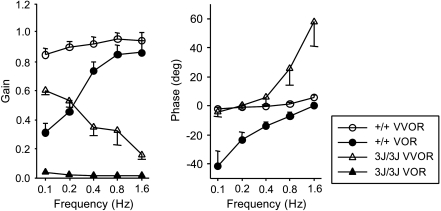 Fig. 7