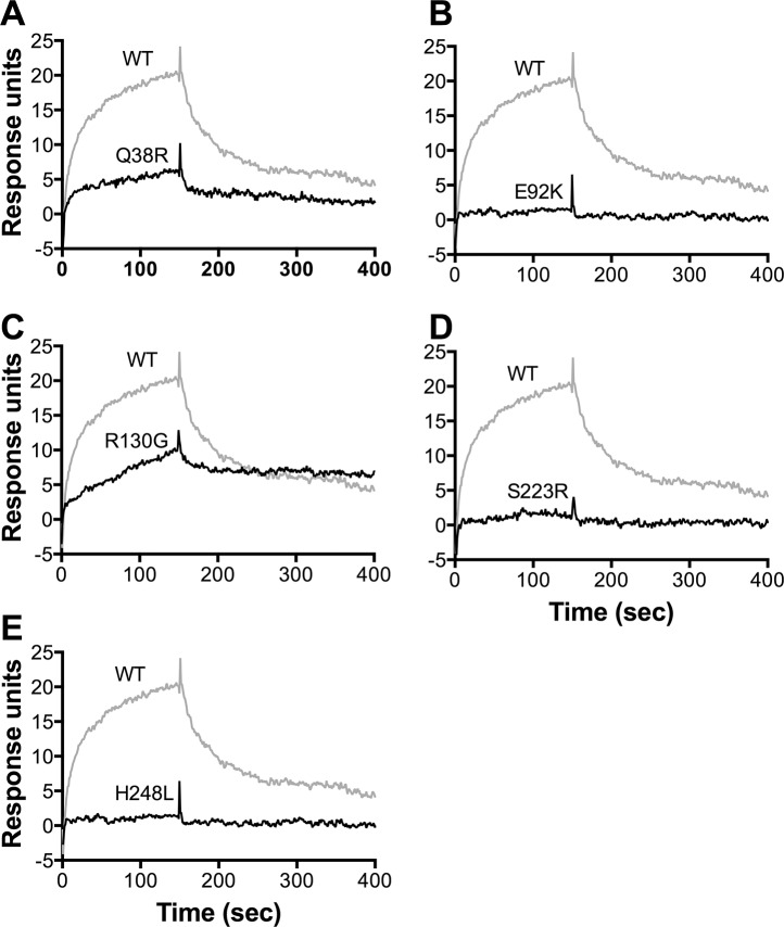 Fig 4