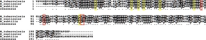 Figure 2.