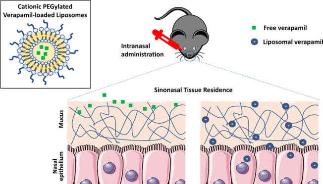 graphic file with name mp2c00943_0005.jpg