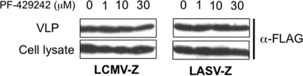 FIG. 5.