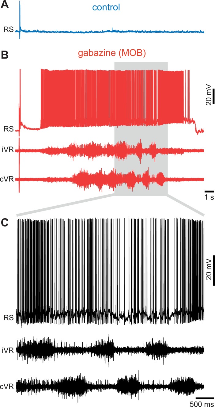 Fig 5