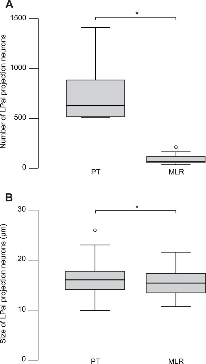 Fig 10