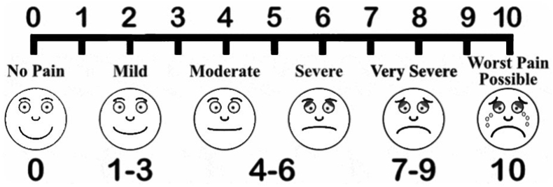 Fig. 1