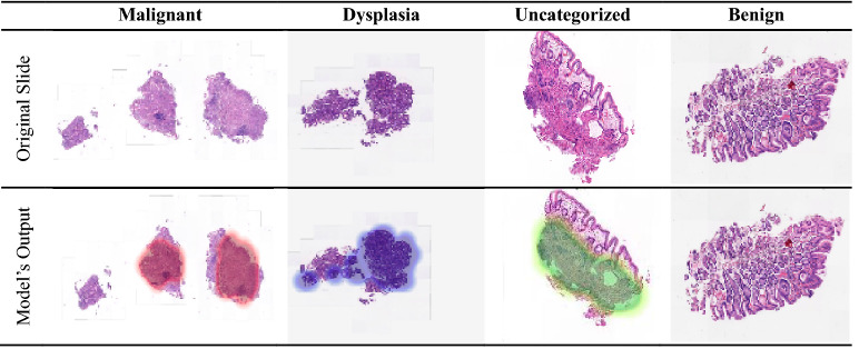 Figure 13