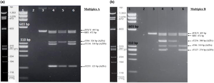 FIGURE 2