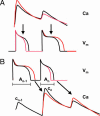 Fig. 5.