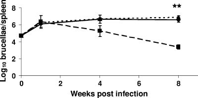 FIG. 6.