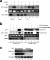 FIG. 7.