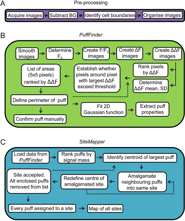 Fig. 1.