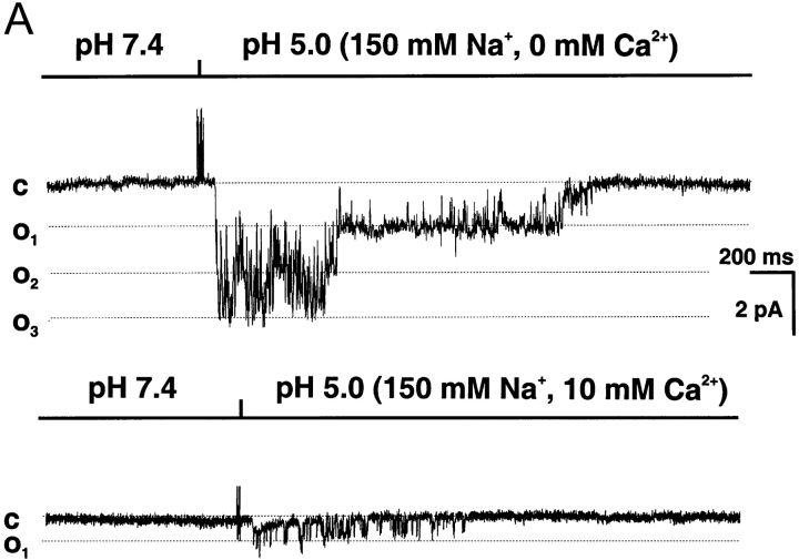 Figure 10. 