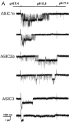 F<sc>igure</sc> 1.
