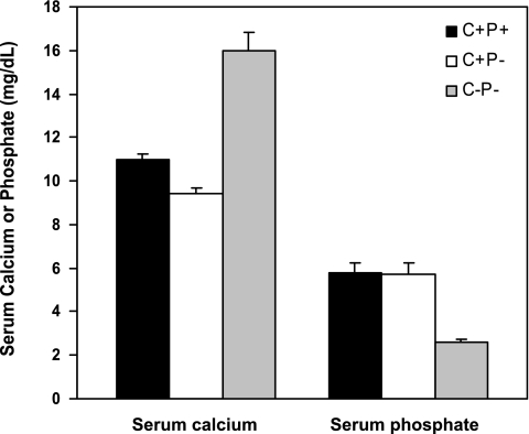 Fig. 10.