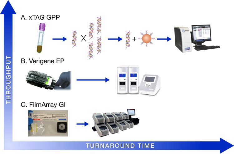 Multiplex Molecular Panels for Diagnosis of Gastrointestinal Infection ...