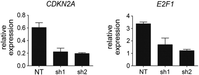 Supplementary Figure 4.