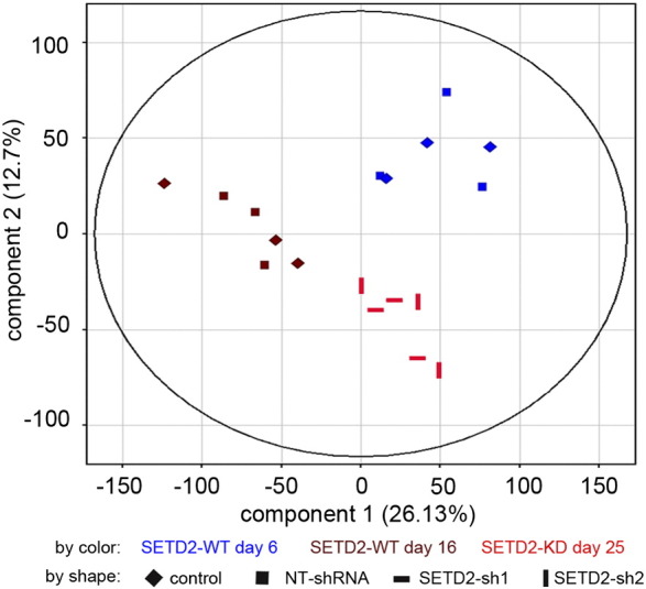 Supplementary Figure 2.