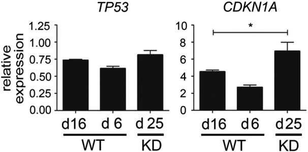 Supplementary Figure 3.