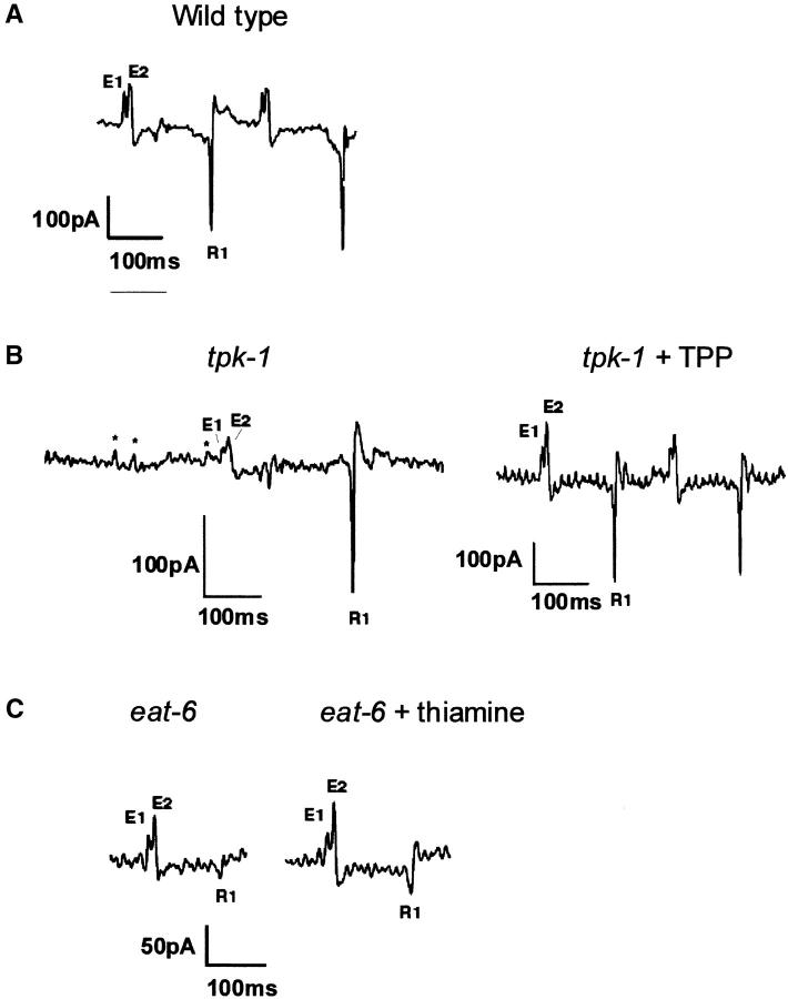 Figure 3.—