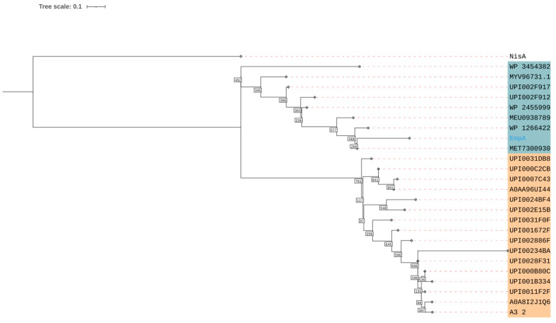 Figure 2