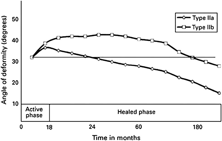 Fig. 5