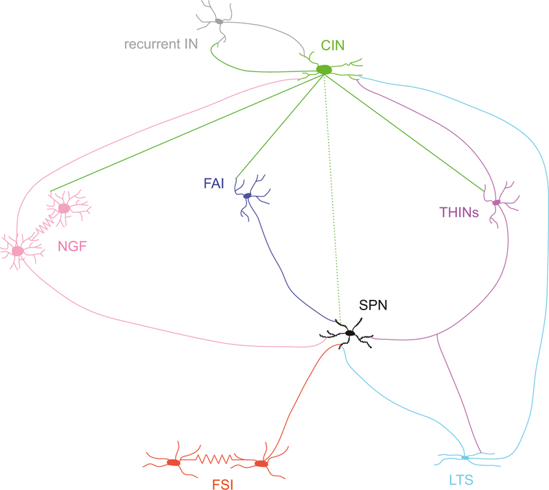 Fig. 6