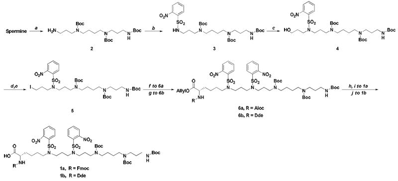 Scheme 1