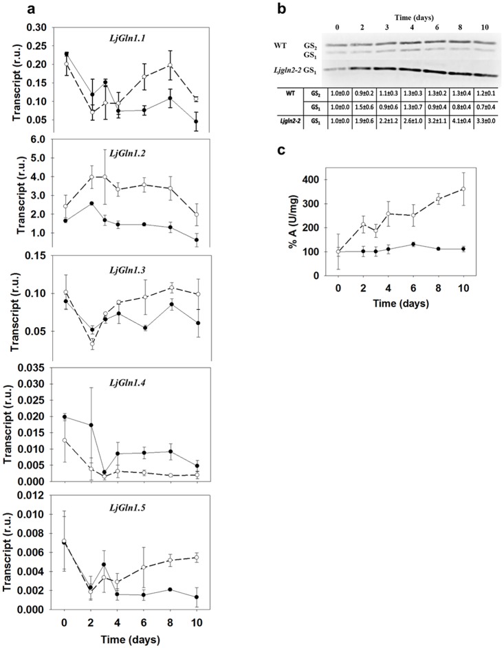 Fig 1