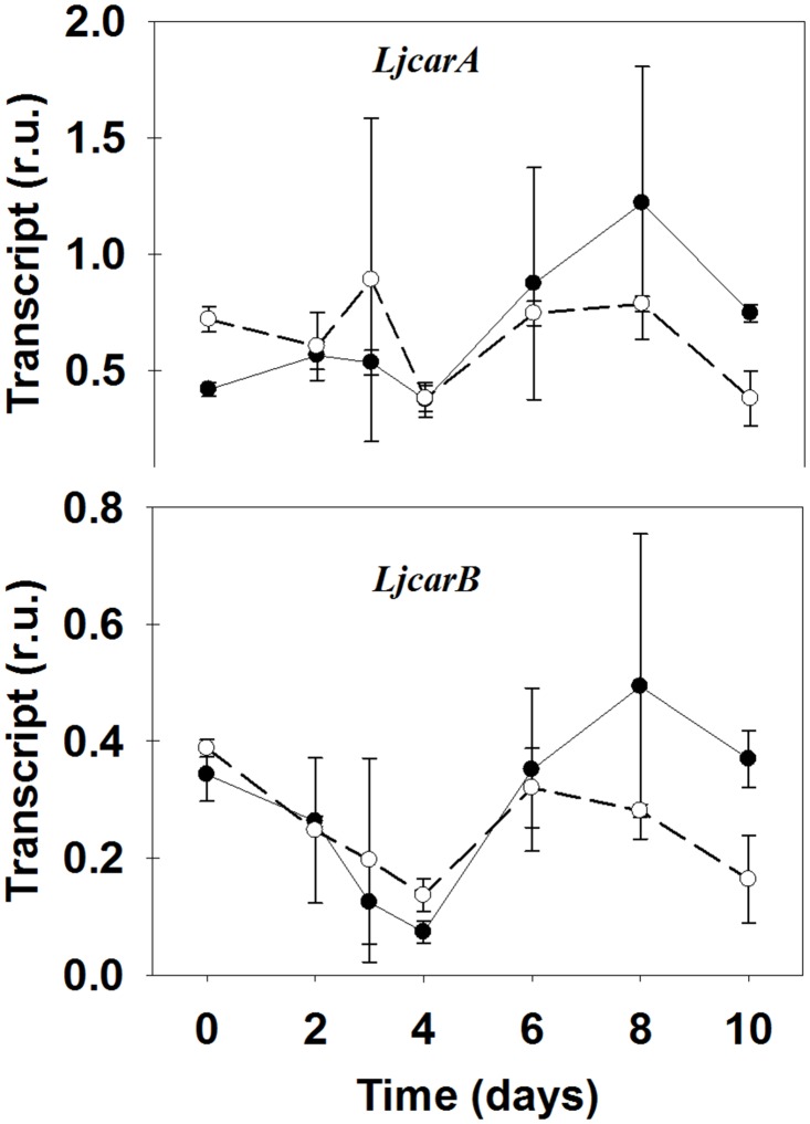 Fig 5