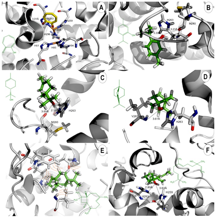 Fig 5