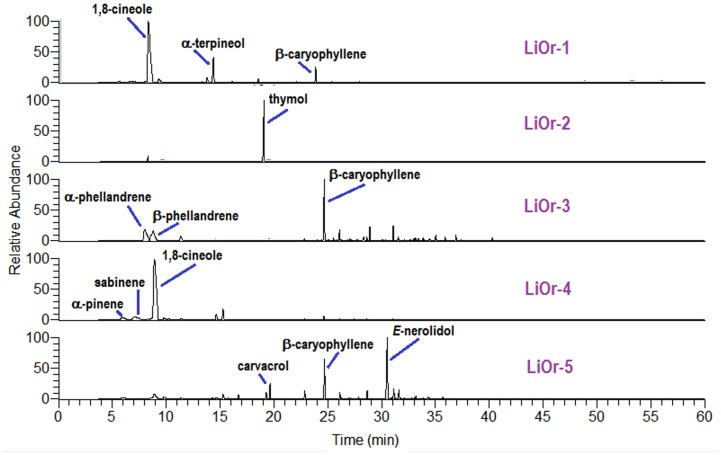 Fig 1