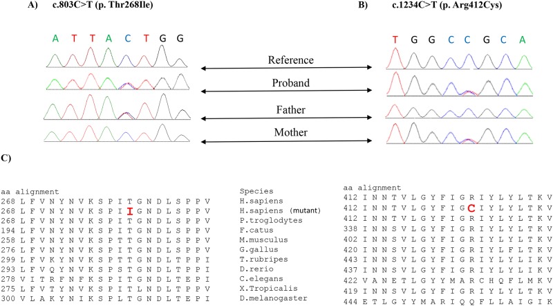 Fig 1