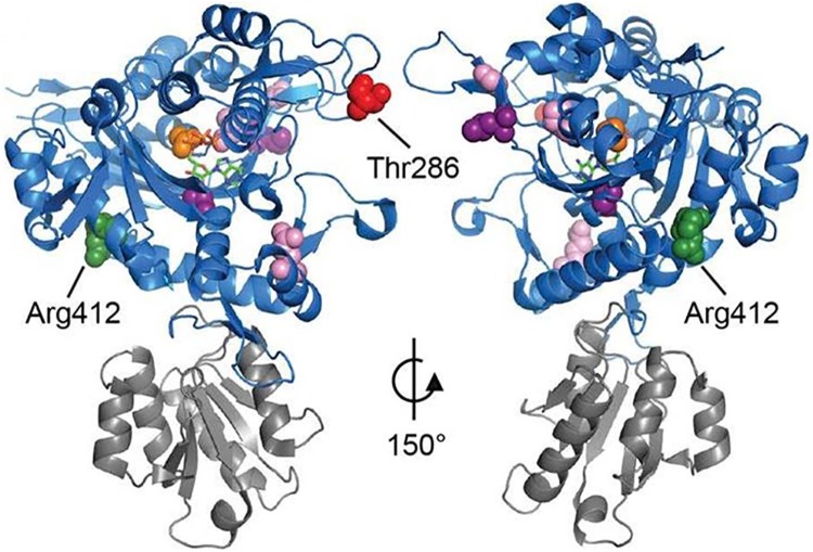 Fig 2