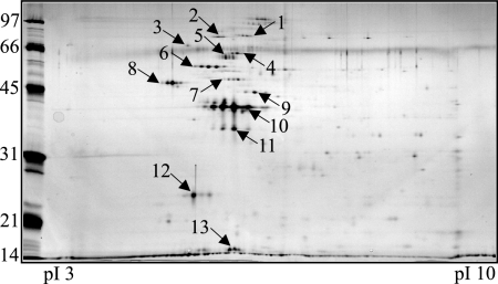 FIG. 6.