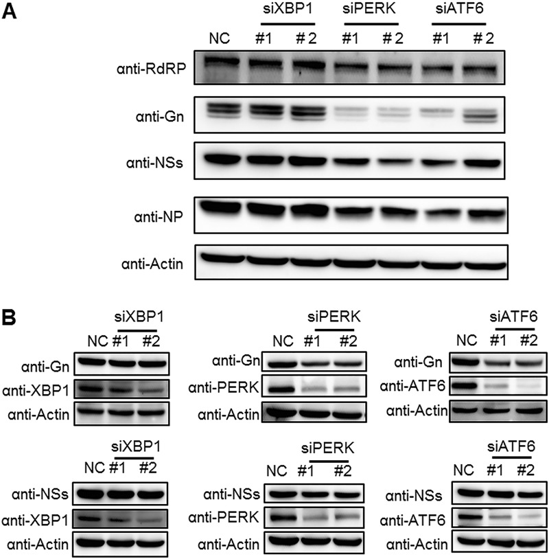 FIG 6