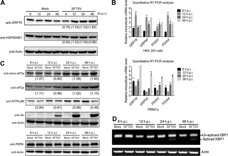 FIG 3