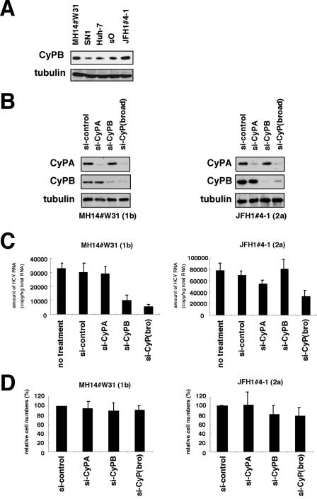 FIG. 6.