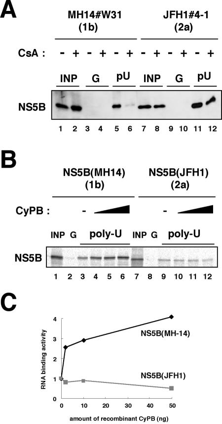 FIG. 7.