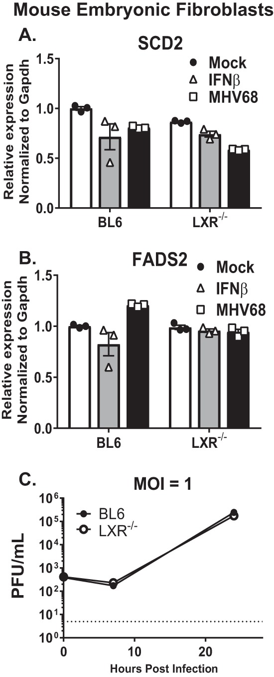 FIG 5 