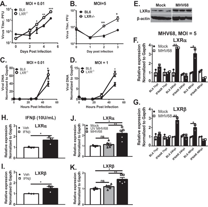 FIG 1 