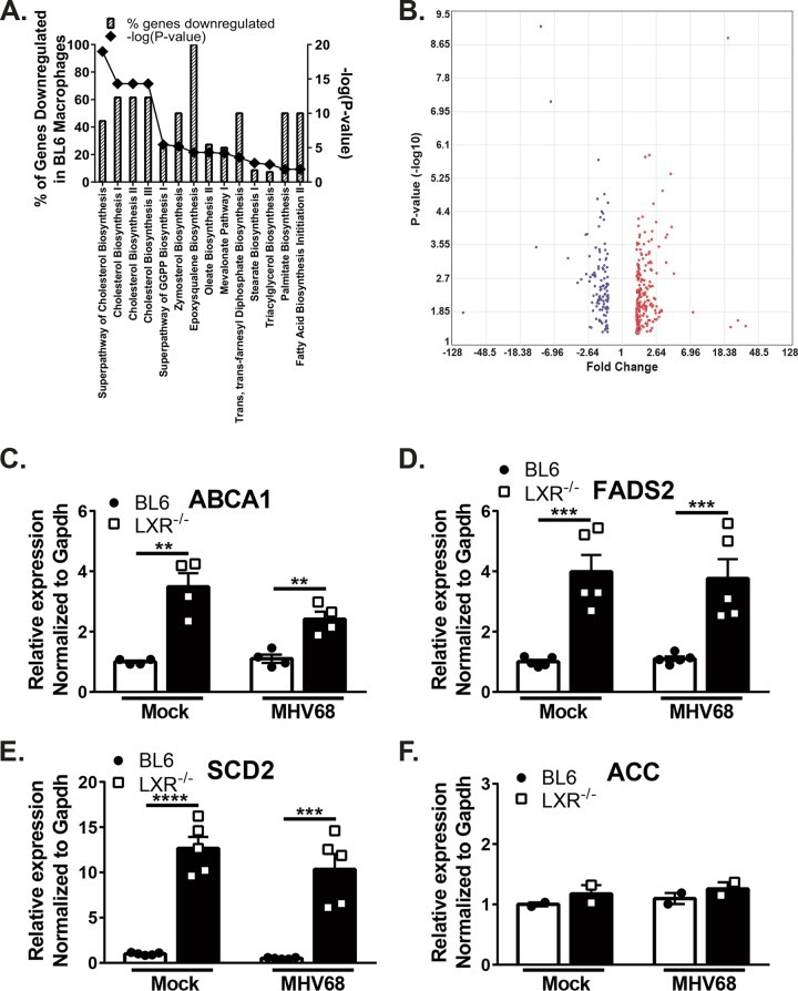 FIG 4 