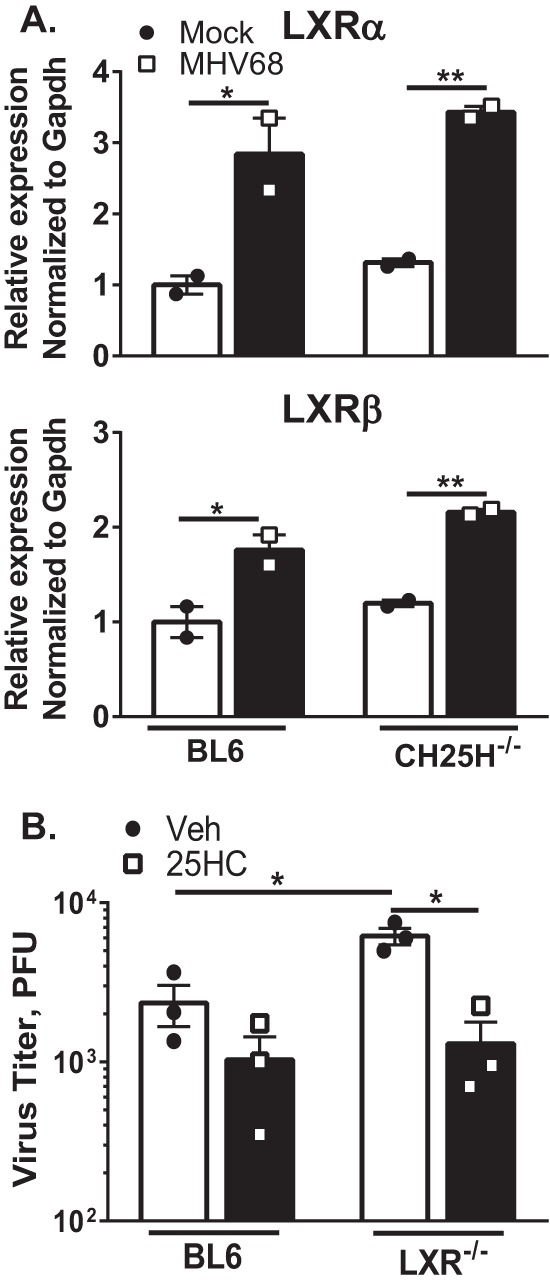 FIG 2 