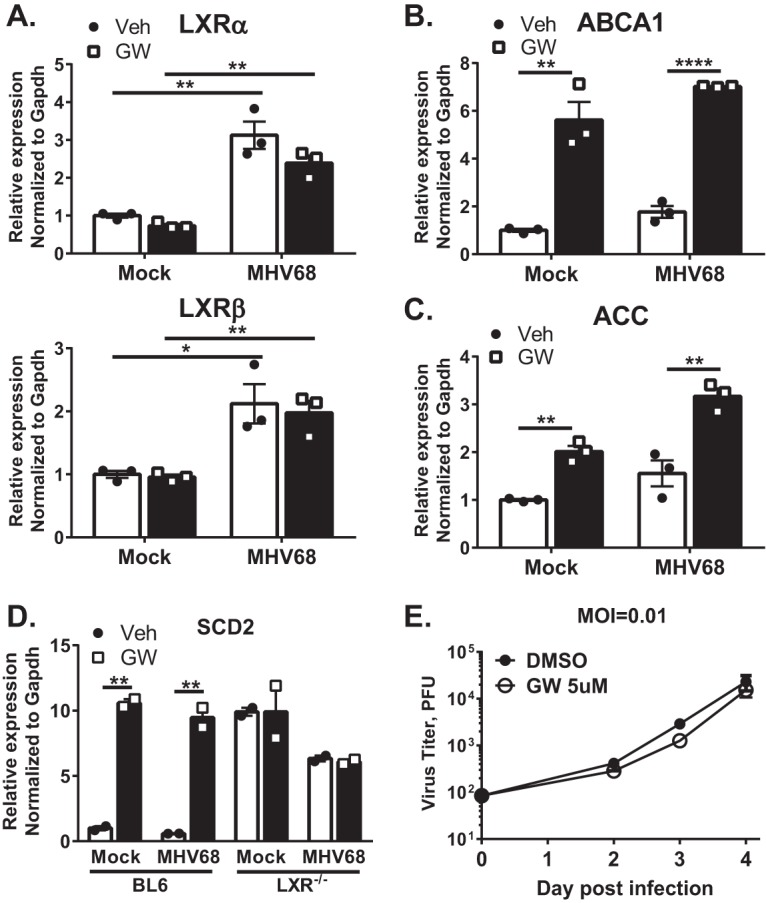 FIG 6 