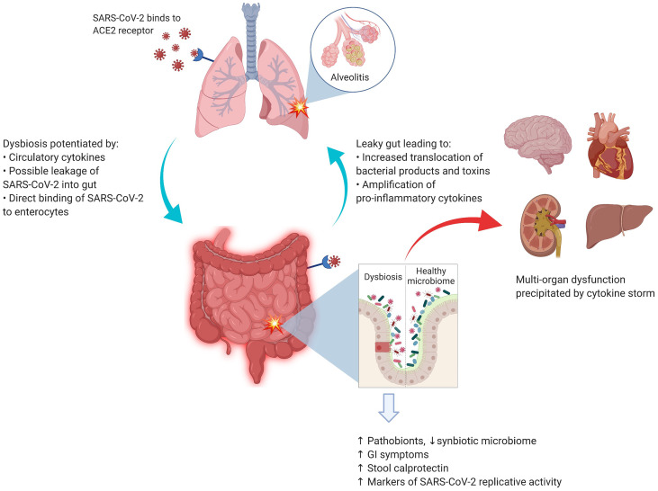 Figure 1