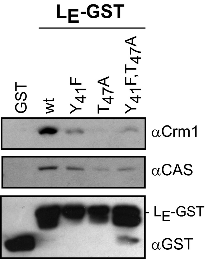 Fig. 5.