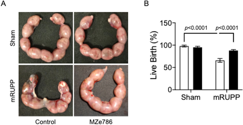 Fig. 4