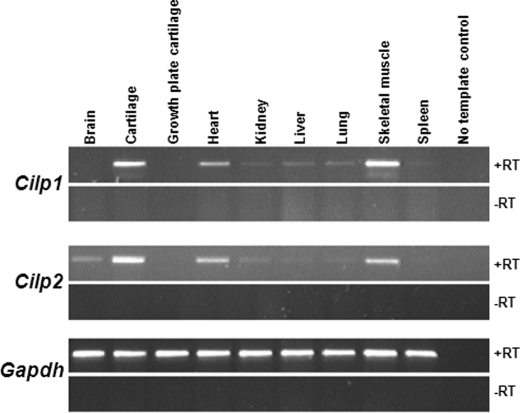 FIGURE 9.